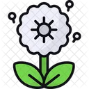 Dandelion Nature Flower Icon