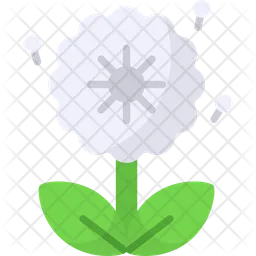 Dandelion  Icon