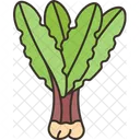 Dandelion Leaf Lettuce Icon