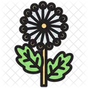 Dandelion Flower  Icon