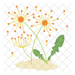 Dandelion flower  Icon