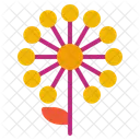 Dandelion  Icon