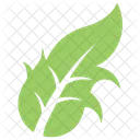 Dandelion Leaf Icon