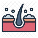 Dandruff Disease Problem Icon