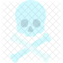 Danger Skull Warning Icon