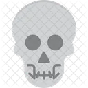 Danger  Icon