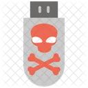 Danger Pendrive  Icon