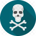 Danger skull  Icon