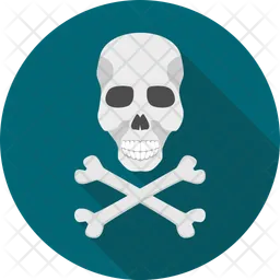 Danger skull  Icon