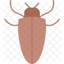 Dangerous  Symbol