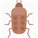 Dangerous  Symbol