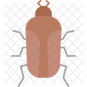 Dangerous  Symbol