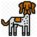 Danish Pointer Dog Icon