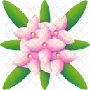 Flower Nature Plant Icon