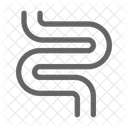 Darm Magen Gesundheit Symbol