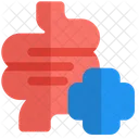 Darmgesundheit  Symbol