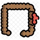Darmkrebs  Symbol