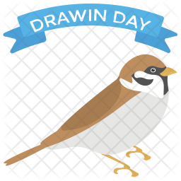 Darwin Day Icon
