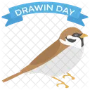 Darwin Day Icon