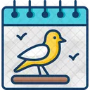 Darwin Day  Icon