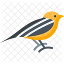 Darwin Day Bird Evolution Celebration Icon
