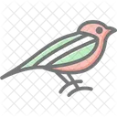 Leprechaun Saint Patricks Icon