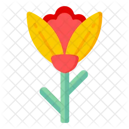 Darwin-Tulpe  Symbol