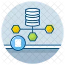 Data Architect  Icon