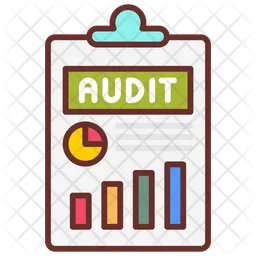 Data audit  Icon