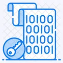 Data Encryption Secure Data Confidential Data Icon