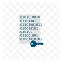 Data Encryption Data Security Data Protection Icon