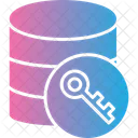 Data Encryption Database Encoding Icon