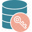 Data Encryption Database Encoding Icon