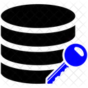 Data Encryption Key Icon