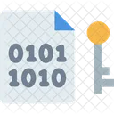 Data Encryption File  Icon