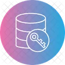 Data Encryption Database Encoding Icon