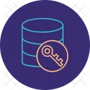 Data Encryption  Icon