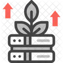 Data Growth  Icon