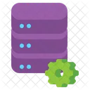 Server Setting Server Database Icon