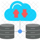 Database Network Server Network Database Icon