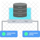 Database Network Server Network Database Icon