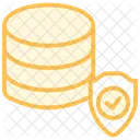 Data Protection Duotone Line Icon Icon