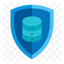 Data Protection Security Protection Icon