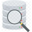 Data search  Icon