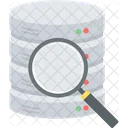 Data Search Document Management File Search Icon