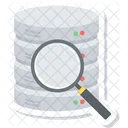 Data Search Document Management File Search Icon