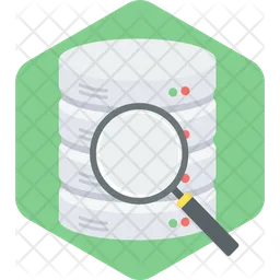 Data Search  Icon