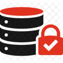 Data Security Data Policy Icon