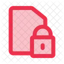Data Security Document Security Icon