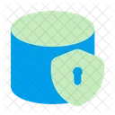 Data Security Protection Database Icon